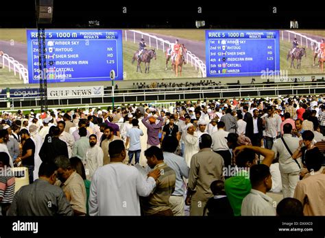 meydan horse racing results|Emirates News Agency .